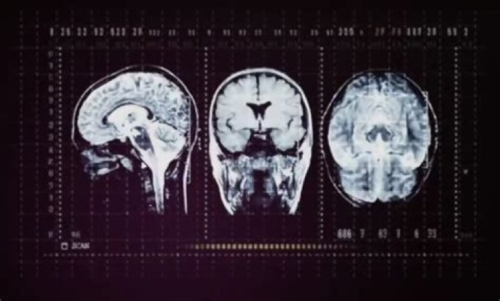 Guide to Sanity and How to Increase It ·